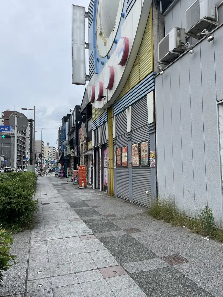 2026年6月14日の写真